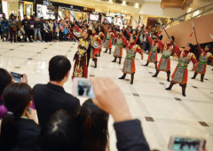 ���ƽ�ʿ����� �˷���۽�����