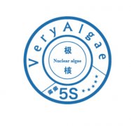 �ı������������̵��ش��֣�����5S