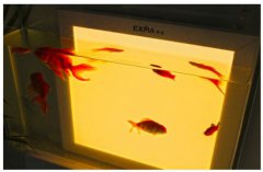 ���㹲��,������ˮ���Ƶ��ؾ�������?