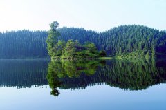 ���綱կ ����ǭ����ϵ�б���֮һ