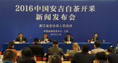 �����ײ�ͷ�衰���ס�������ײ���������