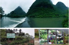 ����ʮ��Я�ֹ�������ý��̽Ѱ����֮��