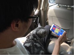 �����˳��Ͽ����TVֱ��������ս����èūΪ������