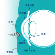 ��ʿ�׸������й������۾���С��ʿ